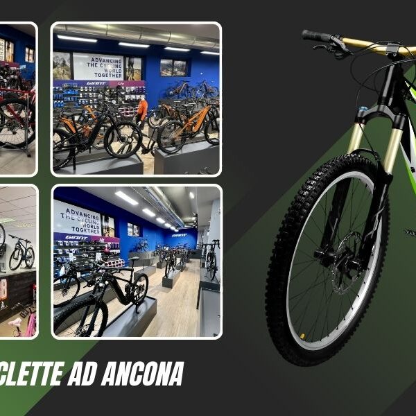 Vendita biciclette da strada ad Ancona da LBB di Cinti Alessandro