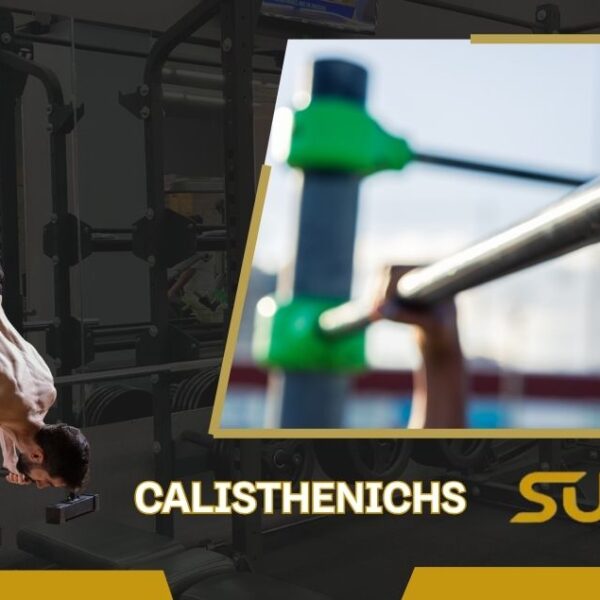Corso di calisthenics a Falconara Marittima alla Palestra Supreme Sport & Salute